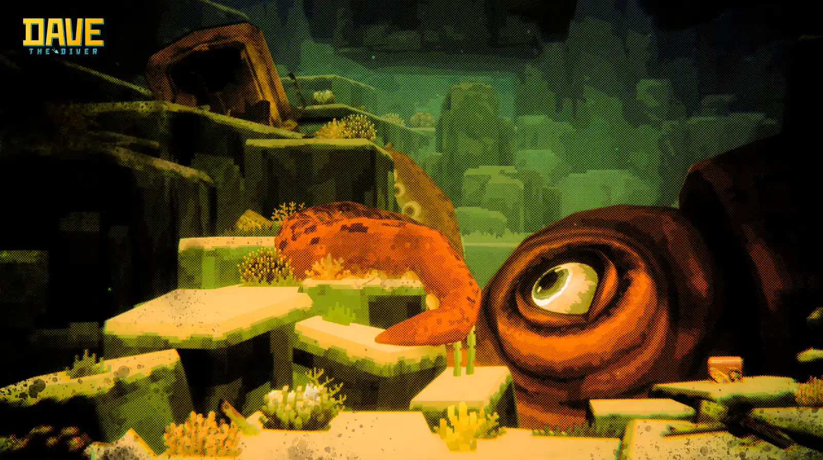 DAVE THE DIVER close view of an enormous orange eel coiled among ledges in murky green water